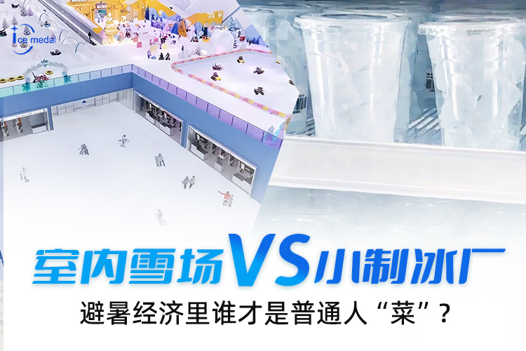 室內(nèi)雪場VS小制冰廠，避暑經(jīng)濟(jì)里誰才是普通人“菜”？